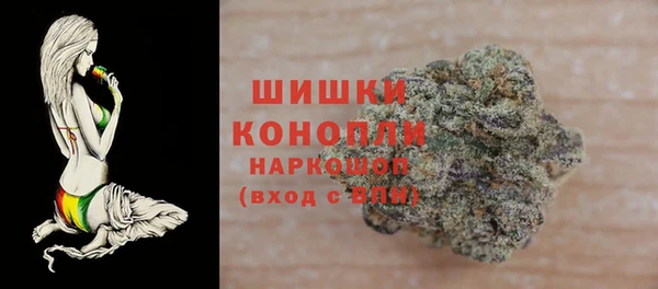сатива Белокуриха