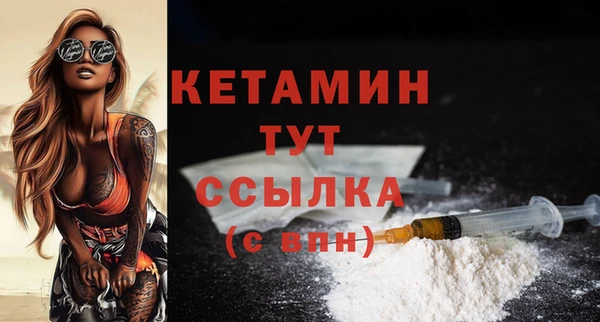 сатива Белокуриха